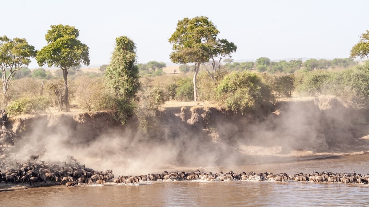 Entre baobabs y cráteres: una semana de safari por el norte de Tanzania