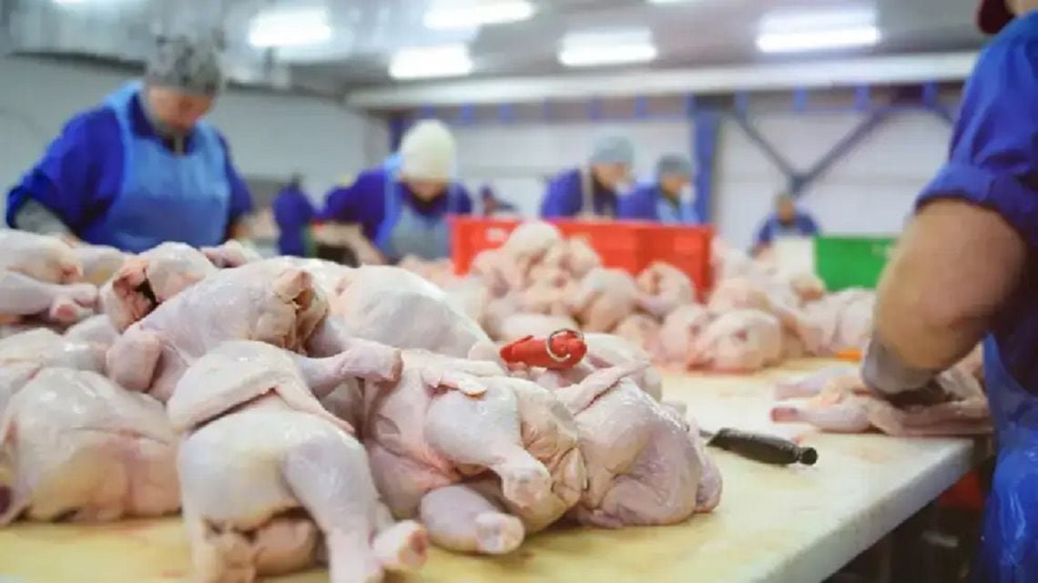 Pollo y carne vacuna empardaron en la mesa de los argentinos, y la balanza se inclinó por primera vez hacia el ave