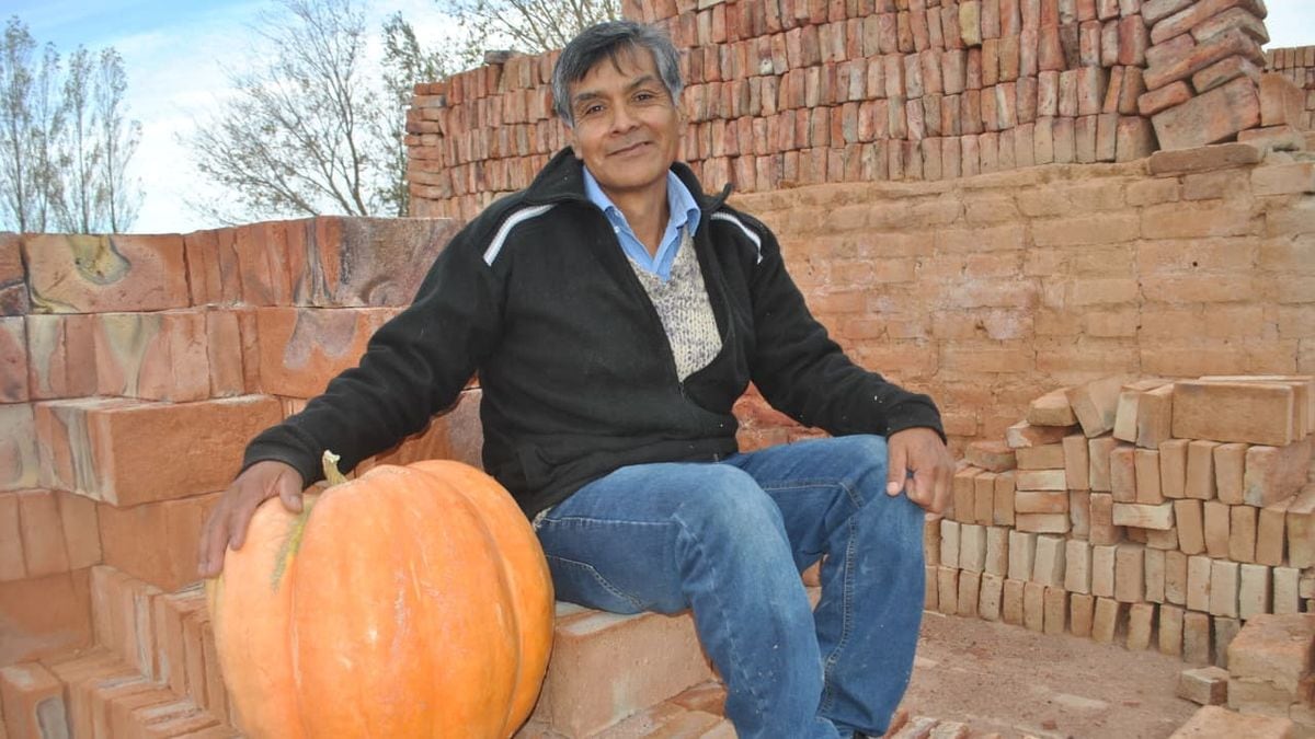 Mariano Moreno vuelve a apostar al zapallo gigante y regala semillas para que cualquiera se anime
