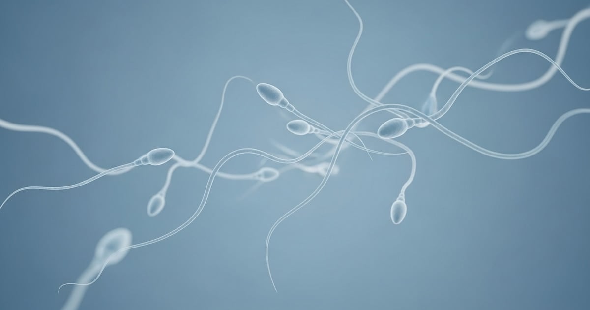 Reino Unido reimplanta tejido testicular criopreservado a un joven de 19 años para intentar restaurar su fertilidad