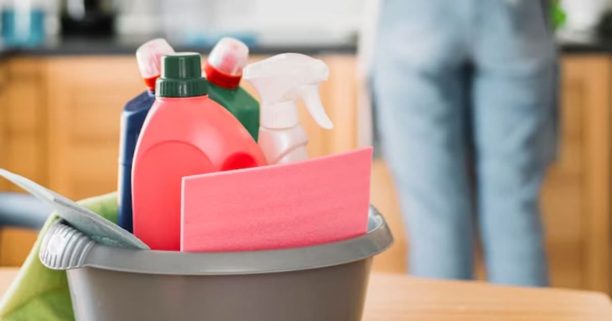 ARCA lanzó un recibo de sueldo digital automático para el personal de casas particulares
