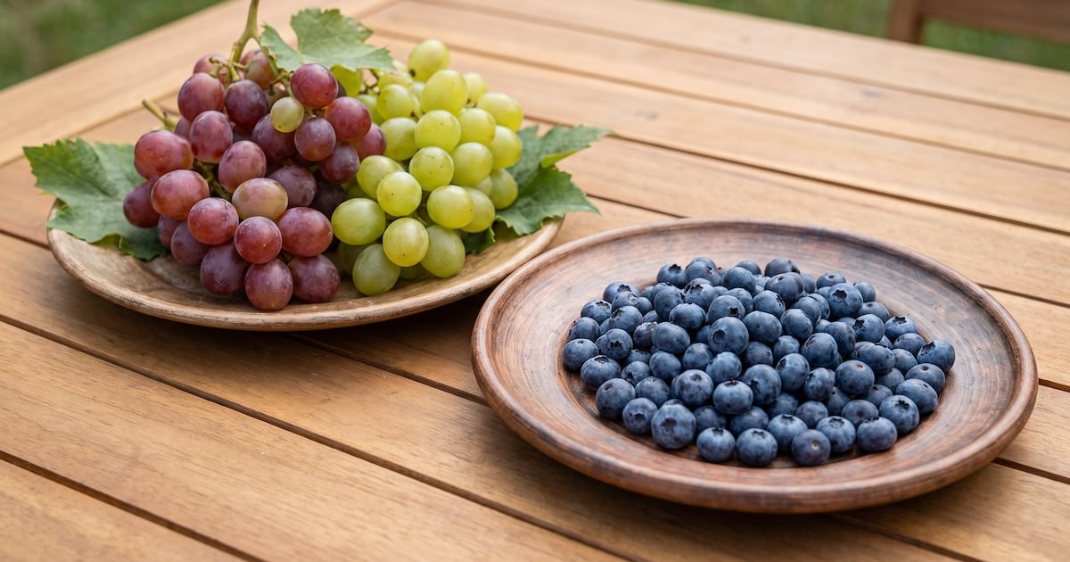 Fruta y glucemia: por qué los arándanos le ganan la pulseada a las uvas
