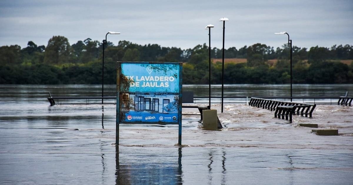 El Niño aprieta el bolsillo: la carne suma presión en la góndola mientras las represas moderan el costo eléctrico