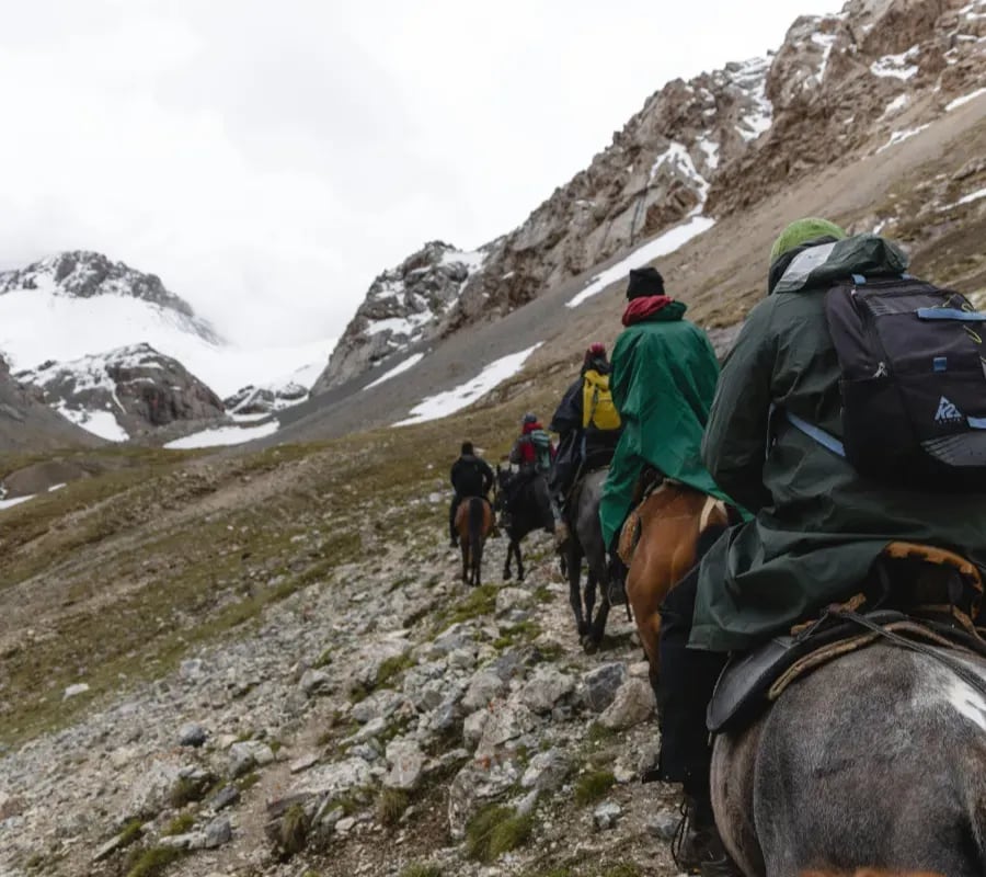 Cabalgatas con cepillado y merienda: la propuesta neuquina que pone al caballo en el centro