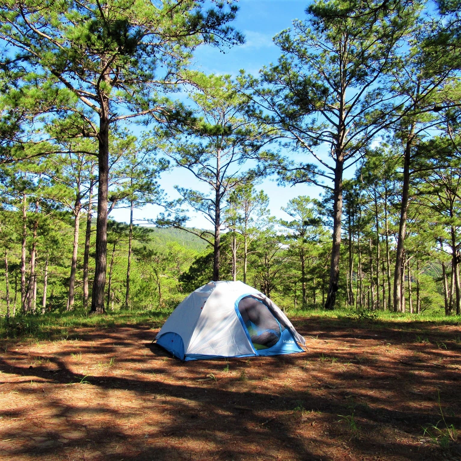 Huttopia llega a Mar Azul con un camping de bosque y listo para_WR2
