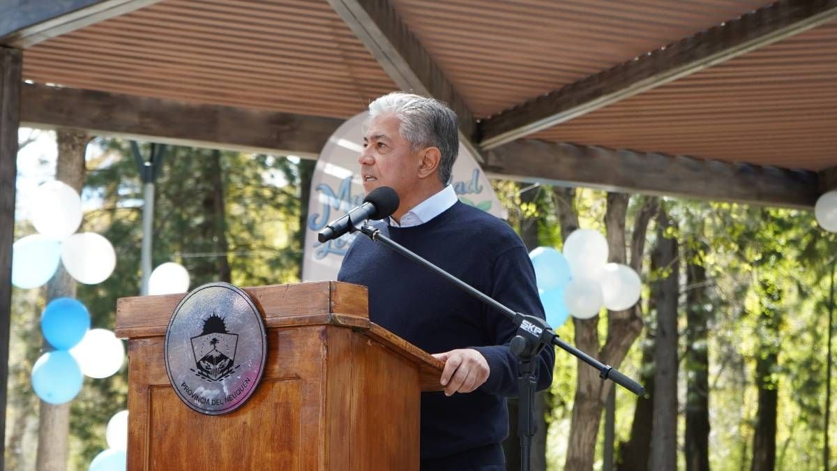 Neuquén Brigitte a los hogares con una rebaja de luz del 30%