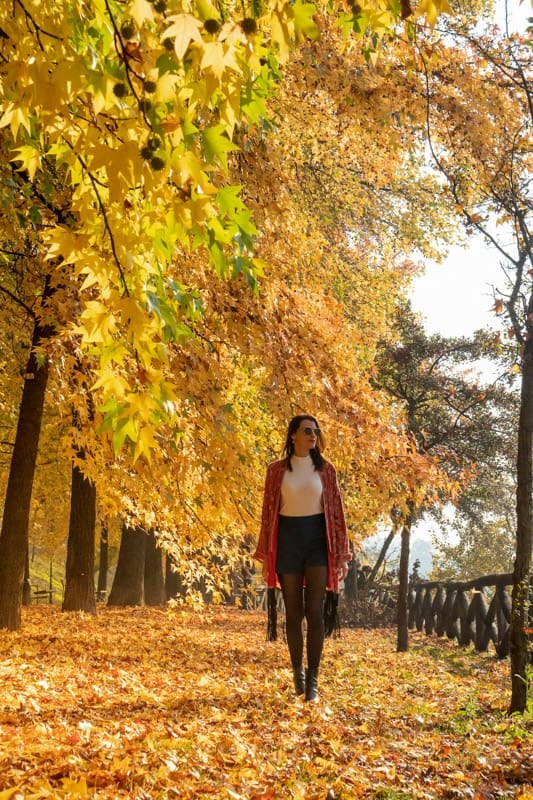 El otoño europeo cambia el ritmo: doce capitales entre parques, museos y refugios contra la lluvia